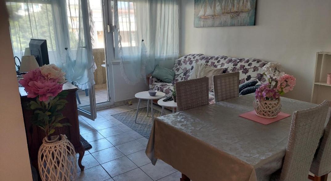 Apartmán Dubrovacka *